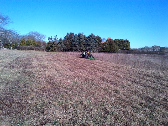 Field Mowing